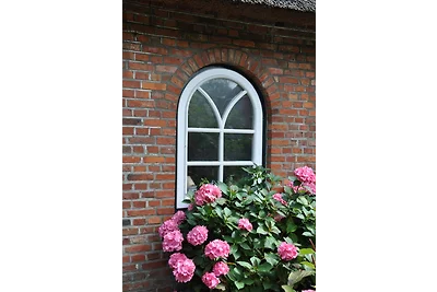 Altes Standesamt Studiowohnung