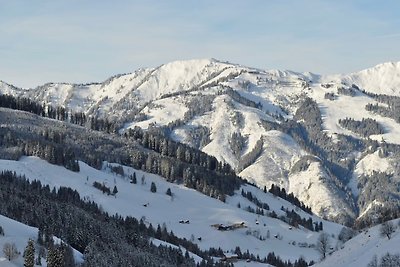 Almhütte Nähe Skigebiet