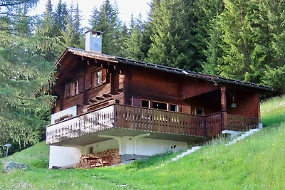 Ferienhaus in den Büelen 38