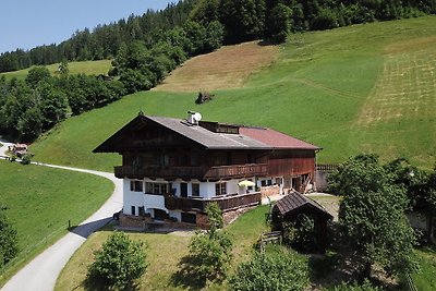 Vakantieappartement Gezinsvakantie Niederau