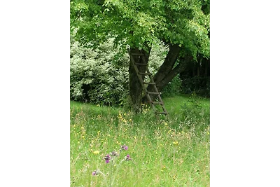 Vakantiehuis Ontspannende vakantie Büllingen