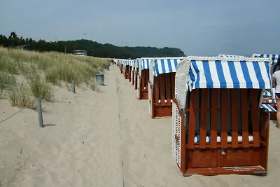 Ferienhaus Falky - Baabe