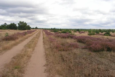 Vakantieappartement Gezinsvakantie Siggelkow