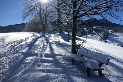 Appartamento Vacanza con famiglia Oy-Mittelberg