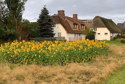 Hansen Hof, Wohnung 2