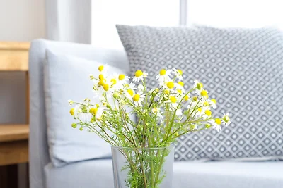 Nordlichtferienwohnungnoer