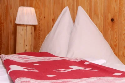 Almchalet Schneeberg