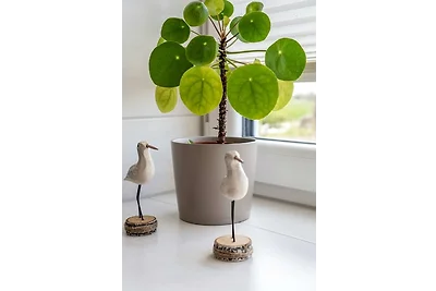 Vakantieappartement Gezinsvakantie Burg auf Fehmarn