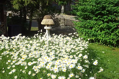 Ferienwohnung Vogel