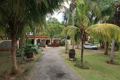 Finca Neo Appartement 2