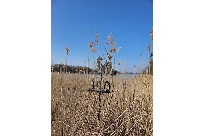 Apartment 22 "Simone's