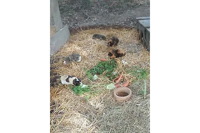 Ein Hauch von Orient