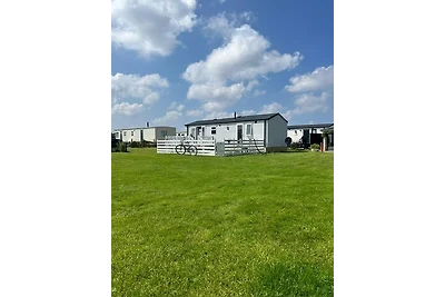 Nr. 88 Neues, ruhiges