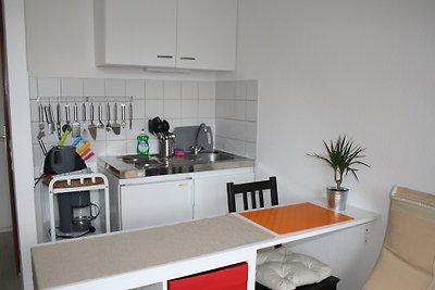 Vakantieappartement Gezinsvakantie Mannheim