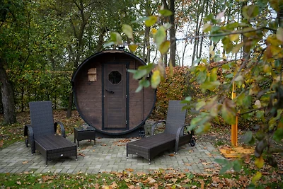 Ferienhof Grönheim - Dachsbau