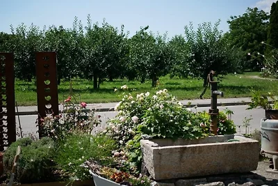 BodenSEE Apartment Meckenbeuren