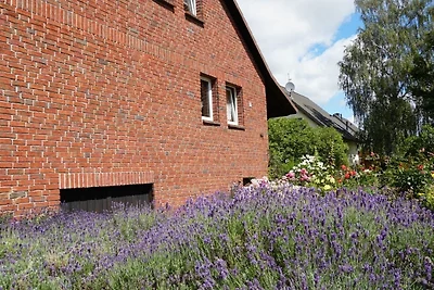 Pension Limone Ferienwohnung 2