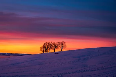 Vakantieappartement Gezinsvakantie Feldberg