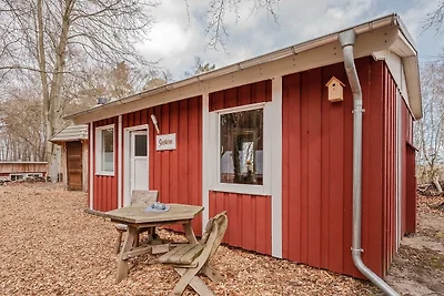 Vakantiehuis Ontspannende vakantie Ückeritz