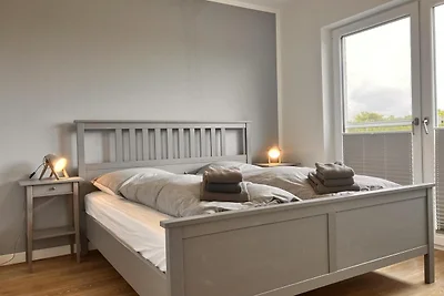 Sturmmöwe, Haus an den Salzwiesen