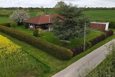 Vakantiehuis Ontspannende vakantie Hasselberg