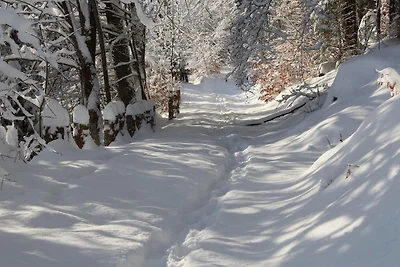 Appartamento Vacanza con famiglia St. Blasien