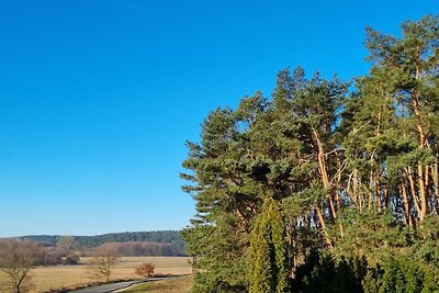 Ferienhaus Köhler Am Walde incl.