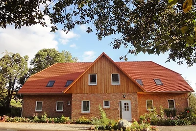 Casa vacanze Vacanza di relax Damshagen