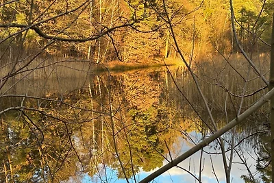 Bungalow im Wald am See - Biberspur