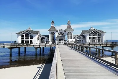 Vakantieappartement Gezinsvakantie Sellin