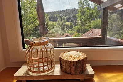 Appartamento Vacanza con famiglia Grafenwiesen