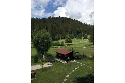 Appartamento Vacanza con famiglia Schluchsee