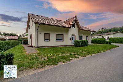 Wald und See Dargun 16b