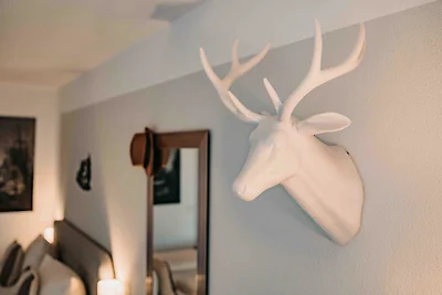 Haus am See Harzflair