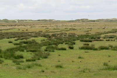 Vakantieappartement Gezinsvakantie Norddorf