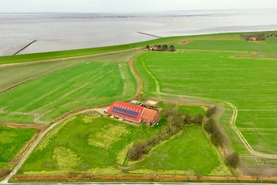 Sömmerland, Exklusive