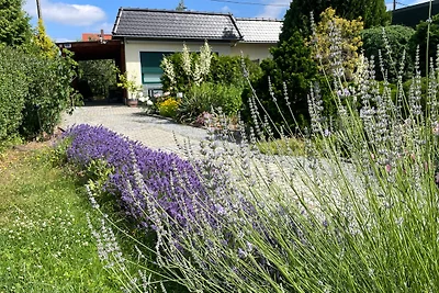 Ferienhaus Amare mit Fasssauna