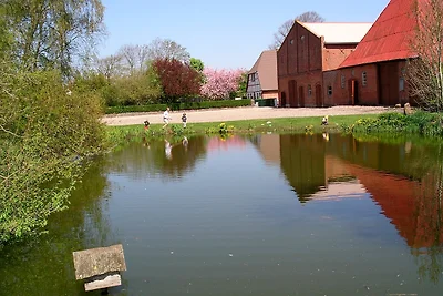 Ferienwohnung "Seestern"