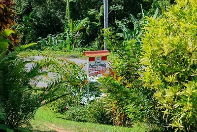 Casa Papito y Dania Appartement 1