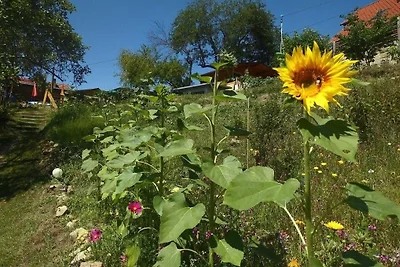 Appartement Vacances avec la famille Rathmannsdorf