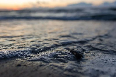 Aparthotel Waterkant Suites, Suite