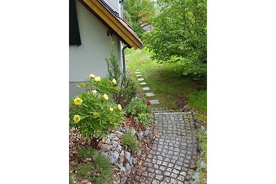 Gartenwohnung Bodetalblick