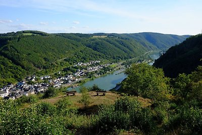 Vakantieappartement Gezinsvakantie Münstermaifeld