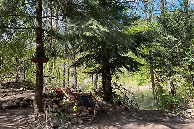 Bungalow im Wald am See - Biberspur