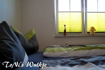 ToNis-Wulkje 2