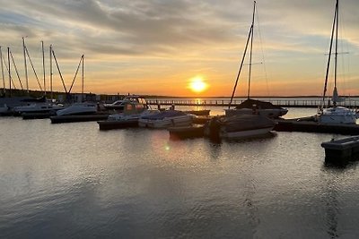 Hausboot Seestern