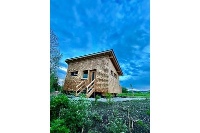 Wald ist Zukunft [Baumhaus Biene]