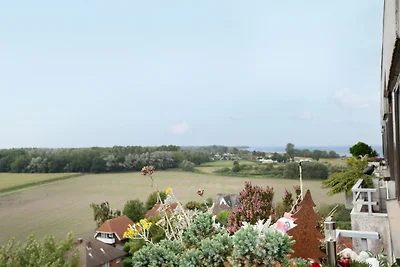 Berolina Sonnenuntergang