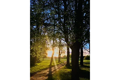 Appartamento Vacanza con famiglia Göhren-Lebbin