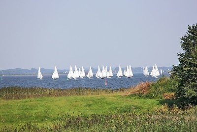 Vakantieappartement Gezinsvakantie Borgwedel